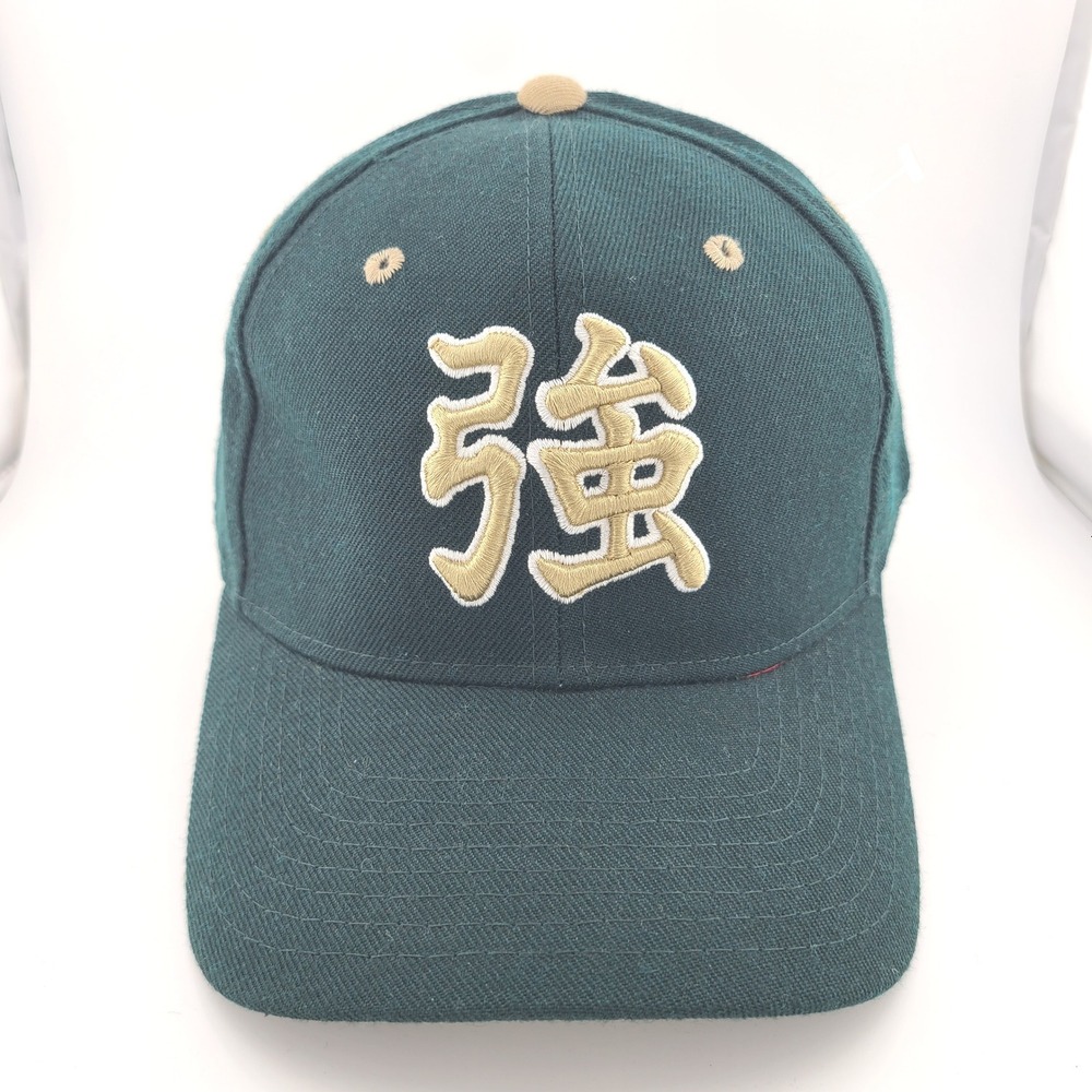 Vintage Zephyr Notre Dame Fighting Irish Kanji Strength 7 1/8 Fitted Hat College